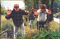 Klikni pro zv�t�en�